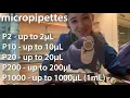 Pipette like a pro - basics tips for using micropipettes serological pipettes