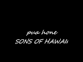 Pua Hone