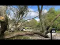 Conyers residents recovering after tornado downs trees snaps power lines