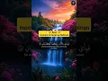 Download Lagu 🥀😍 Surah rehman ‼️Easy and Beautiful Flower Garden Inspiration ‼️#shorts #quran #arrahman #beautiful