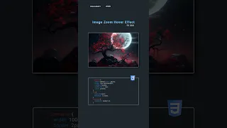 image zoom hover effect in css scale in css