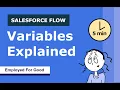 Salesforce Flow Variables Explained Counter Variable Example