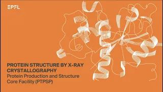 Protein structure by X-ray crystallography