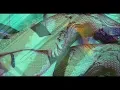El Fourlox - Lamentable Ft Electra Rap Asfalto 2011 Rap Colombiano