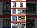 Download Lagu Types of inline engine working optimization