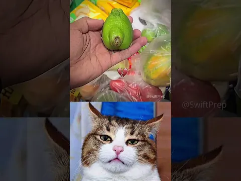 wtf 😂🤣 #shorts #trending #aura #funny #cat #memes #dance