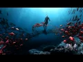 Download Lagu Djarum Black - Diving