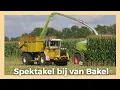 Download Lagu Spektakel Bij Van Bakel | Vredepeel 2025