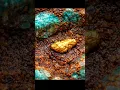 Lagu The Gold Nugget Inside a Turquoise Vein!  #nature #gold #naturalamethyst #goldjewelry #goldnugget