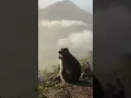 Download Lagu Mount Batur Sunrise Trekking, Bali
