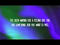 Henri Werner, Moosa Saleem - Run For Cover (Lyrics)