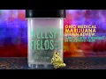 Review GMO Garlic Cookies by Wellspring Fields Ohio Medical Marijuana Strain