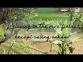 Download Lagu RELACING IN THE RICE FIELDS | KECAPI SULING SUNDA
