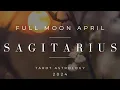 Download Lagu Sagitarius Fullmoon April 🪔 Kembali ke tempat yang penuh kenangan