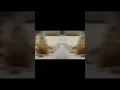 Download Lagu Karla Kush and Jillian Jansen having fun  #tiktok #karlakush #jillianjanson# #stars