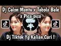 DJ CALON MANTU X TABOLA BALE X PICA PICA MELODY HURUNG VIRAL TIKTOK