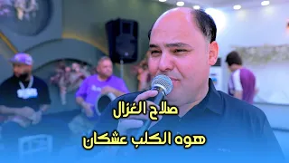 صلاح الغزال هوه الگلب عشكان حفله كورنيش الحله المصورحسن بيبي 07809006660 