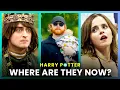 Harry Potter Cast Where are they in 2025 OSSA Movies