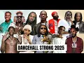 Dancehall Strong 2025 | DJ Sedan ft. Vybz Kartel, Skillibeng, Masicka, Tommy Lee, Neilm, Shaqstar 
