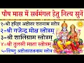 Lagu सफला एकादशी| हरिहर स्तोत्रम्|गजेन्द्र मोक्ष स्तोत्र|शालिग्राम स्तोत्र|तुलसी स्तोत्र | विष्णु शतनाम 