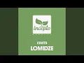 Download Lagu Lampa (Lomidze Remix)