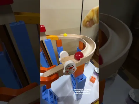 Marble Run and a Cat's Paw ☆ ASMR Video for Soothing and Laughter. Vol. 109