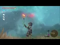 New Bone Glitch Explained Breath of the Wild Tutorial
