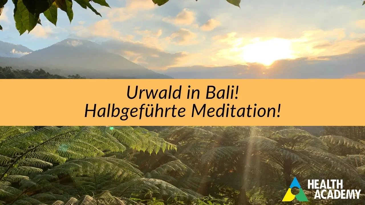 Meditation - Naturgeräusche am Morgen - Urwald Bali