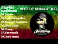 SHAGGY DOG FULL ALBUM || best of shaggy dog