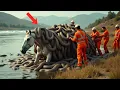 Download Lagu Rescue Team Save a Stray White HORSE in The River from MILLIONS of strange snake parasites!