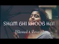 Download Lagu Shaam Bhi Khoob Hai lofi song .Karz | Udit Narayan ( Slowed + Reverb ) ||Ritik_AUDIOS ||cblofistudio