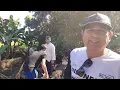 Download Lagu Mutual cooperation to repair the water channel in Samolo Village, Ciherang Village, Karangtengah,...