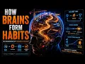 How Brains Form Habits The Hidden Code Behind Human Behavior