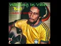 Bob Marley - Waiting In Vain But I remade it