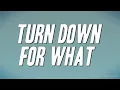 Download Lagu DJ Snake, Lil Jon - Turn Down for What (Lyrics)