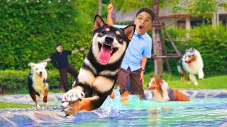 หมาพลังงานเยอะที่สุดที่เราเคยเจอ! - มหึหมาX3 อีพี6