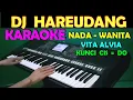 DJ HAREUDANG/NESTAPA - Vita Alvia | KARAOKE NADA WANITA || LIRIK,HD