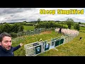 Could This Be The One Our Experience with Prattley Mobile Sheep Handler