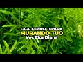 Download Lagu Lagu Kerinci Terbaik MURANDO TUO || Voc Eka Diana