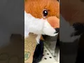 Cute Cuddly Plushies Hobby Lobby Shopping Haul Vlog Easter Plushies Ideas
