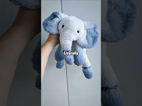 The Ebay Toy Scam!