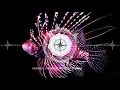 Sascha Braemer - Universal Language (Original Mix) [Systematic Recordings]
