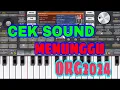 Lagu CEK SOUND|| MENUNGGU RHOMA IRAMA || COVER ORG2024