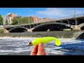 I Spent 2 Days Fishing the BEST River in the Midwest