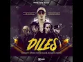 Download Lagu Diles Remix