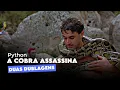 Python - A Cobra Assassina 2000