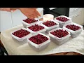 We Harvested Wild Lingonberries 🍒 Autumn in the Finnish Countryside