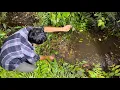 Download Lagu Mancing Malam Hari Di Rawa Yang Di Anggurkan Para Pemancing Selama Puluhan Tahun 