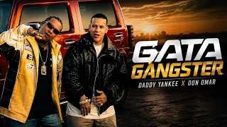 Don Omar x Daddy Yankee - Gata Gangster (Visualizer)