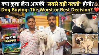 Don't Buy Your First Dog Until You Watch This! 🚫🐶